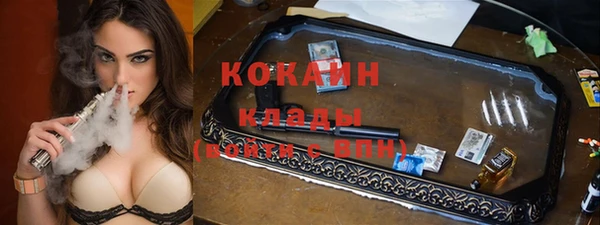 гидра Аркадак