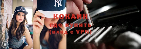 гидра Аркадак