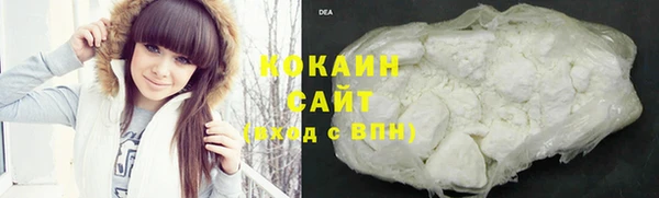 гидра Аркадак