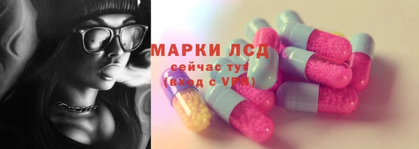 гидра Аркадак