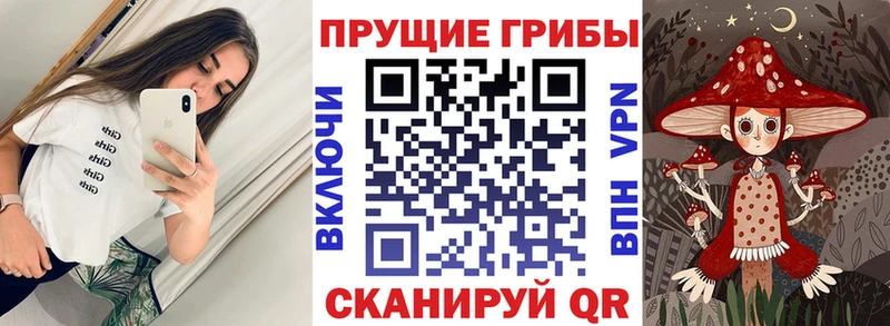 наркошоп мориарти формула Галлюциногенные грибы Magic Shrooms Балабаново